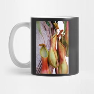 Pitcher Plants Mug